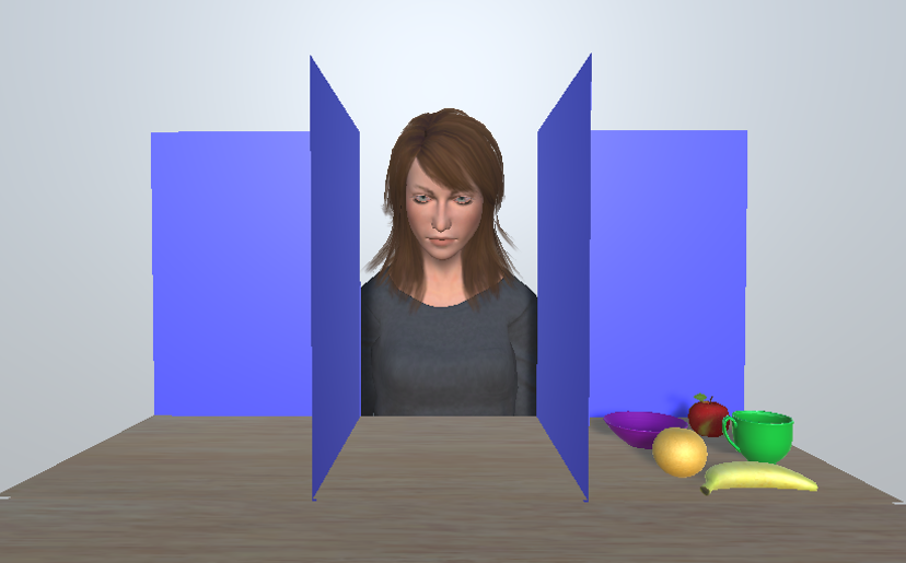 Image showing a study condition where the person on screen cannot see items on a table due to a barrier