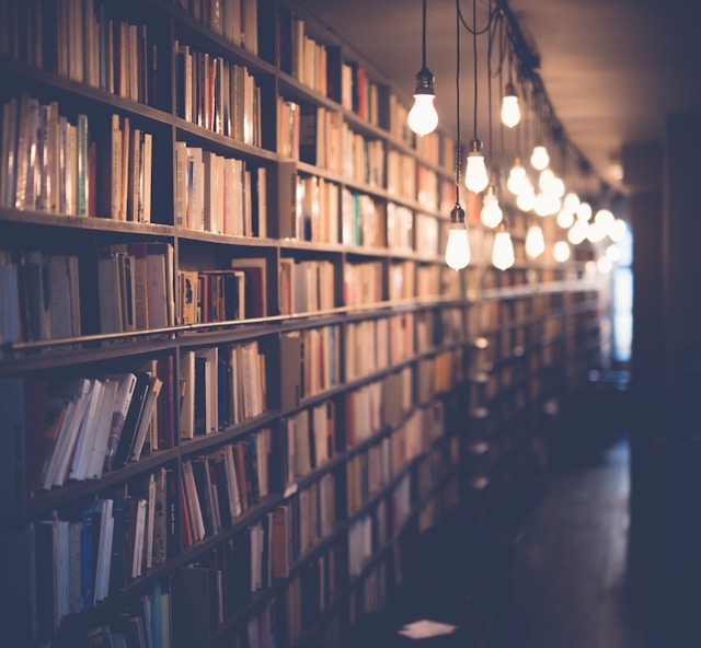 Books Shelfs