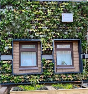 Retrofit living wall placed over an existing building by the rain garden