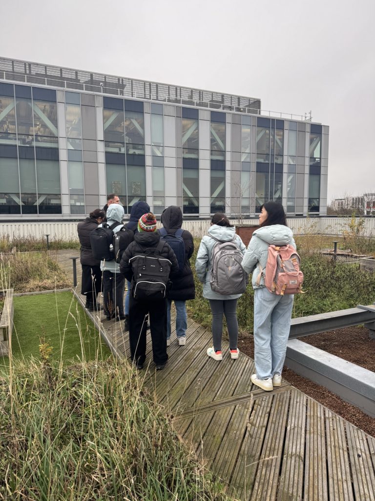A group of people walking on a wooden pathway on the green roof.