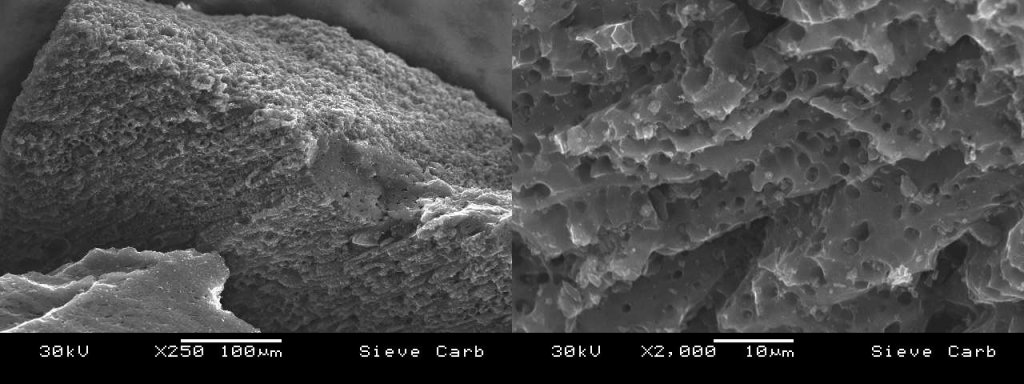 SEM image of Activated carbon